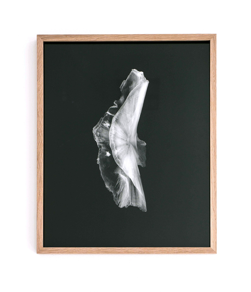 Image gallery